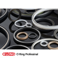 Spring Energized PTFE Seals for Oil and Gas Industry